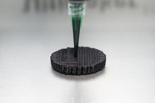 La pile fabriquée par impression 3D se compose de deux types de champignons différents. Empa